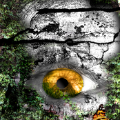 Mark Allan Wolfe Introspection Album