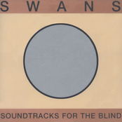 Soundtracks For The Blind [Disc 1] Album Picture