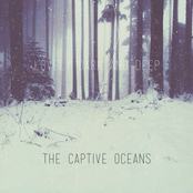 Lovely, Dark, and Deep