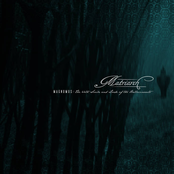 Magnumus: The 44th Scribe and Lorde of the Hallucinauts