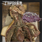 Gross Anatomical & Pathological Examination