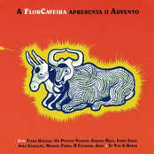 A FlorCaveira apresenta o Advento