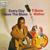Every Day I Have The Blues by T-bone Walker