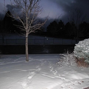 Can We Fall In Love - Single