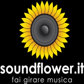 Experiments from Soundflower Community