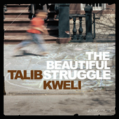 Never Been In Love by Talib Kweli