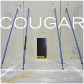 Five by Cougar