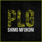 Shimo Mfukoni