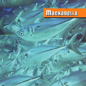 Mackabella