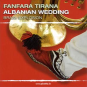 Albanian Wedding (brass explosion)