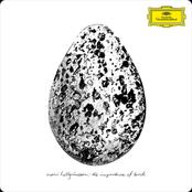 The Importance of Birds