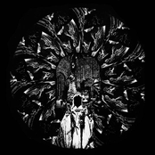 Muknal & The Haunting Presence (Split)