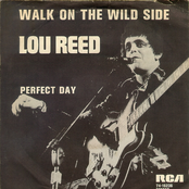 Walk on the Wild Side
