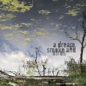 a dream of smoke and birds