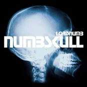 Numbskull