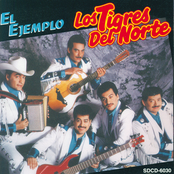 Me Quedas A La Medida by Los Tigres Del Norte