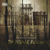 Twisted Insane: The Insane Asylum