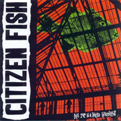 Supermarket Song by Citizen Fish