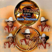 Te Quiero Mucho by Los Tucanes De Tijuana