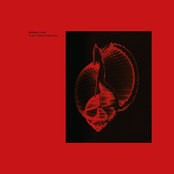 In the Place of Harmony