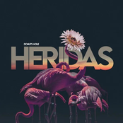 Heridas