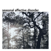 seasonal affective disorder