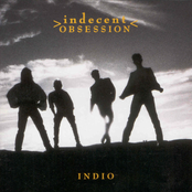 Rebel With A Cause by Indecent Obsession