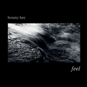 Feel (Single)