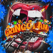 The Gringos: GRiNGOLAND