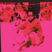 Um girassol da cor de seu cabelo