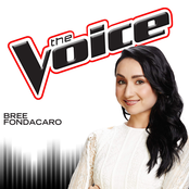 The Voice