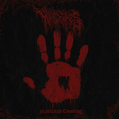 Windchimes: 10,000 and Counting