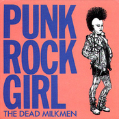 Dizzy In The Daylight by The Dead Milkmen