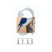 Bluebird: Giraffidae
