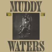 I'm A King Bee by Muddy Waters
