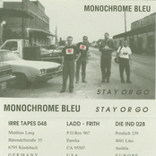 stay or go (360º of monochrome bleu)