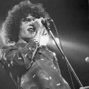 dan mccafferty