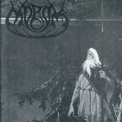 На круги своя