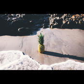 Pineapple Paradise