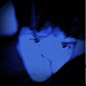 I Didn't Want to Do It