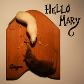 Hello Mary: Ginger