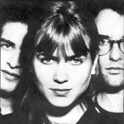 the juliana hatfield three