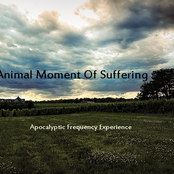 Animal Moment Of Suffering