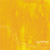 Ranting Teeth In Spacious Non