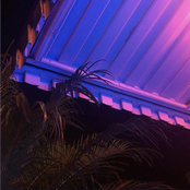 Would You Love Me With My Demons