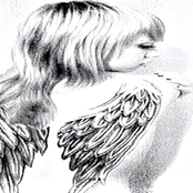 herons in wilmington