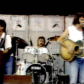 neil young & the international harvesters