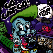Go Cat Go!: A Tribute to Stray Cats