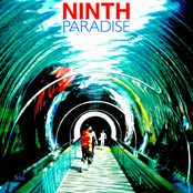 Surf Thru by Ninth Paradise