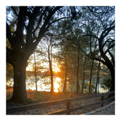 All Around Alienated